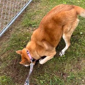 石岡八郷ベースの画像