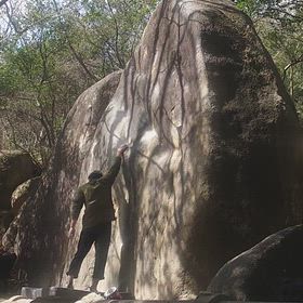 北山清掃の画像