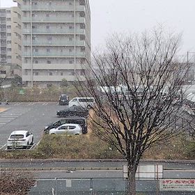 小雪舞う。の画像