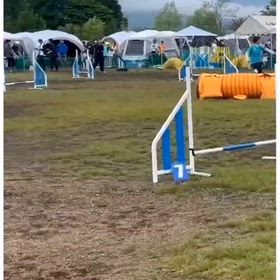 うたちゃんからのお便りですの画像