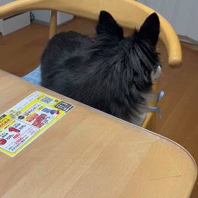 休暇予備日の画像