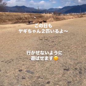 河原遊びが大好き！！の画像