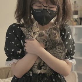 3月28日  今日も猫動画の画像