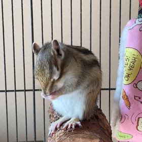 そらまめ️の画像