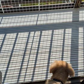 人がいたらなのか？の画像