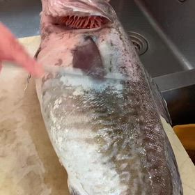 大きいタラコを燻製にしてみた！の画像