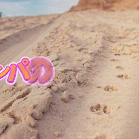 リンパの流れる道は獣道⁉︎の画像