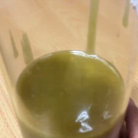 本気の石けん、作ってますの画像