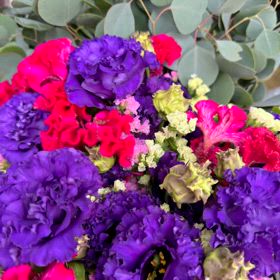 11月12日大護幼稚園さんにて花育教室の画像