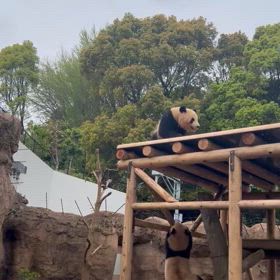 独り立ちの画像