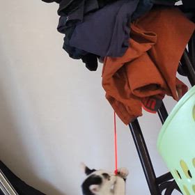 ひっぱりそらちゃんの画像