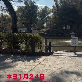 2026/01/24の画像