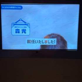 【プチ整形】やりすぎたくないけど…綺麗にはなりたいのサムネイル画像