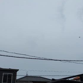 ブルーインパルスだと思ったら鳥(笑)編集しました。の画像