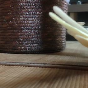 今日のじょじょの画像