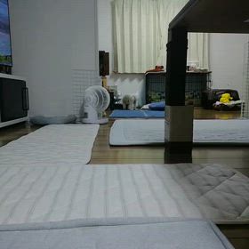 北風バーバー（所変わればなんとやら）の画像