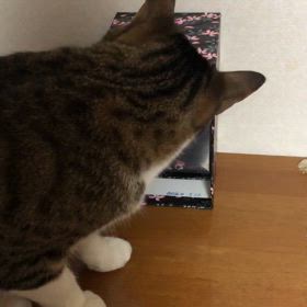 犯人確定。今日のジム活。ガス代が安くなる装置。の画像