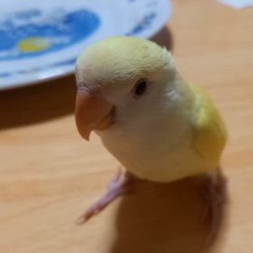 今では考えられない、過去の画像