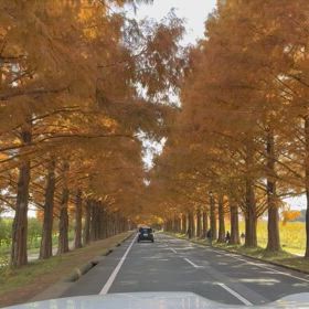 出船できません…の画像