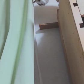 ちろる　最新のすご技の画像