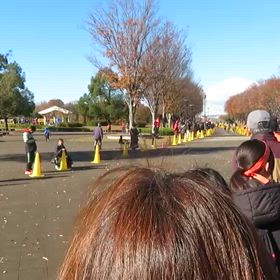 県駅伝　第５区⑪の画像