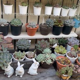 さぁ！遊ぼうの画像