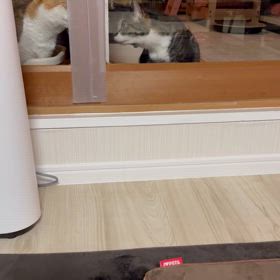 壁が高いの画像