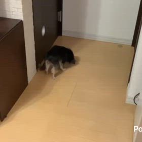 ゴールデンウィークです。の画像