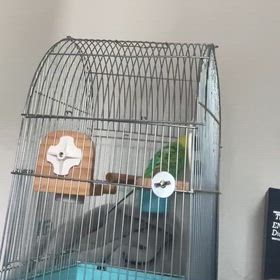 3/13 治療８日めの画像