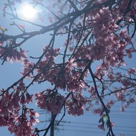 ”球春到来！！” 大友康平さん　ブログ更新！！の画像