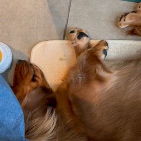 どうしても起きちゃうの画像