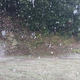 3月19日(水)の画像