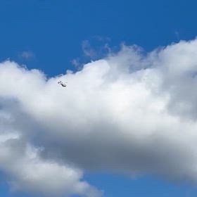 11/24こんにちはの画像