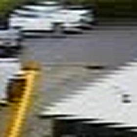 車庫入れ終わって、居なくなってから出てきた！の画像