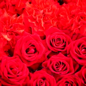 大好きって、最高だなぁ　♡の画像