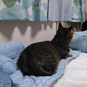 初めて一緒に寝たの画像