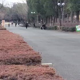 2/17 リレー選考会⑪の画像