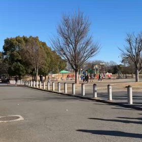 駅伝に向けて（1500ｍ）⑦の画像