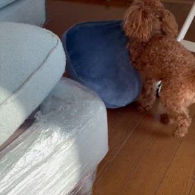 ハンターの画像