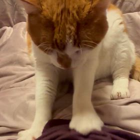 もうすぐの画像