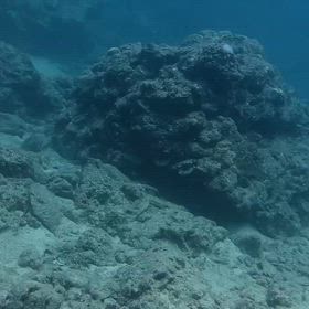 上見よ！！の画像