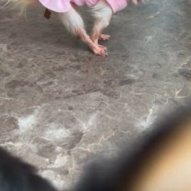 行ってらっしゃいの画像