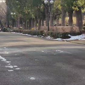 リレー選考会（男子）ゴール付近①の画像