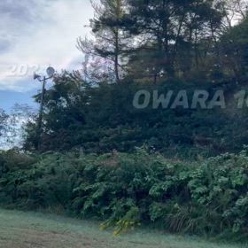 2024年10月31日（木）のおわらサーキットの画像