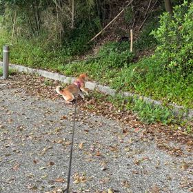 なぜ戦おうとするのかの画像