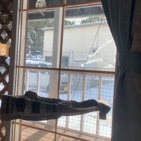 膝もも　風が強く寒いの画像