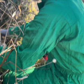 ♦️拡大♦️の画像