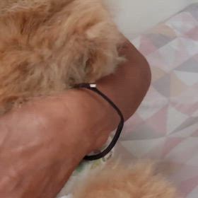 8月7日木曜日の画像