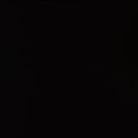 牛そのものの画像