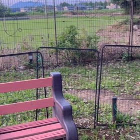 60代このファンデは無理ぽ➖ネガキャンではありません。の画像